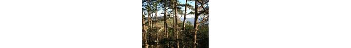 Old-Lyme-Hill-View-2aebef5dfc.jpg
