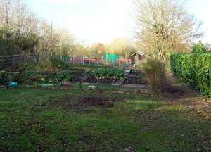 Charmouth Allotments