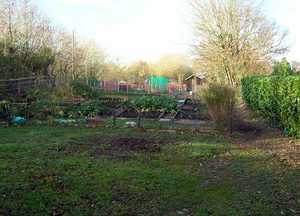 Charmouth Allotments Charmouth Allotments